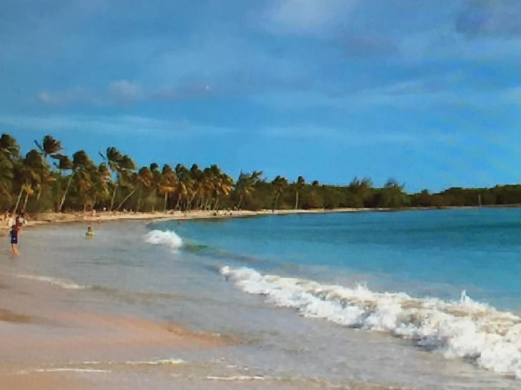 Ti Paradis De L'Anse Figuier Villa Voir Site Vacances En Martinique Rivière-Pilote Exterior foto